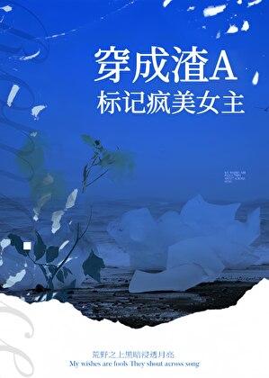 穿成渣女以后[快穿