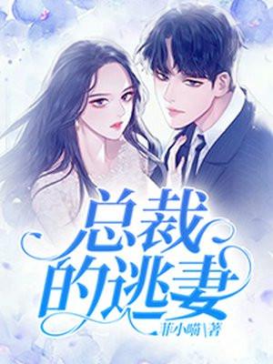 总裁的逃妻100集