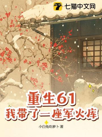 重生61我带了一座军火库