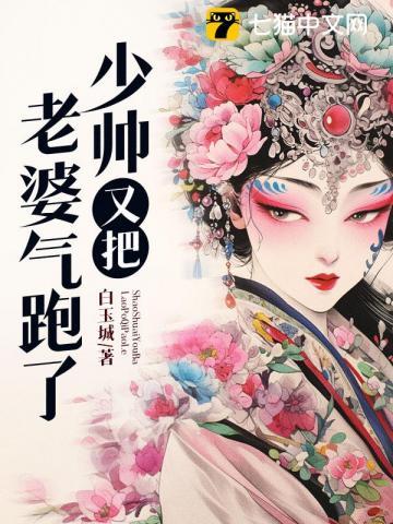 少帅你老婆又跑了少帅的礼物