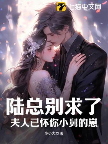 陆总夫人要离婚