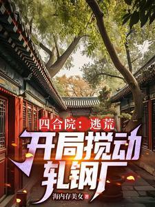 四合院逃荒开局搅动轧钢厂