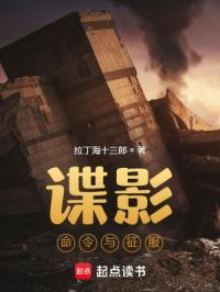 谍影命令与征服无防盗