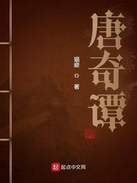 唐奇谭之九重楼免费观看