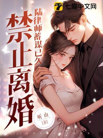 禁止离婚陆律师蓄谋已久免费阅读