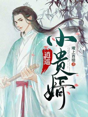 逍遥小贵婿全集免费