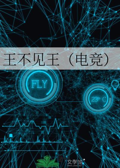 王不见王电竞番外