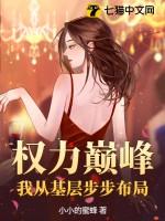权力巅峰顶点
