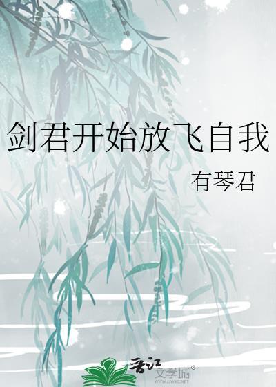 剑君ns