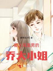 爱上凤凰电视剧