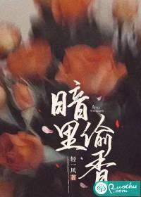 暗里偷香刘德华MV视频