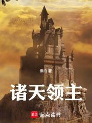 诸天领主无错版
