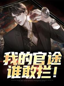 我的官途生涯 我的官途生涯