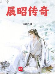 展昭传奇免费阅读