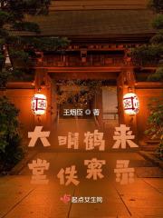 大明鹤来堂佚案录 王烟臣 大明鹤来堂佚案录 王烟臣