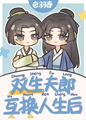 双生夫郎互换人生后by羽春TXT