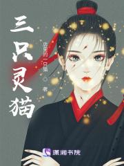 三只灵猫 三只灵猫